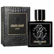 Roberto Cavalli Uomo - EDT 100 ml