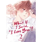 What If I Said, I Love You? 2