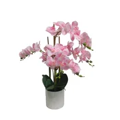 Umetna orhideja roza 65cm Viva Real touch - roza - 50 do 75 cm - 31 do 50 cm