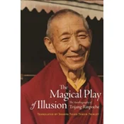 The Magical Play of Illusion
