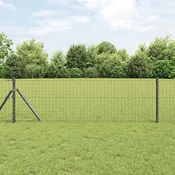 Euro ograda Siva 0,8 x 25 m Željezo prekriveno PVC-om
