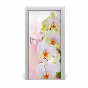 tulup.si Nalepka na vratih Bela orhideja 95x205 cm