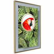 Poster - Parrot Says Hi 30x45