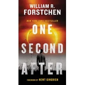 One Second After