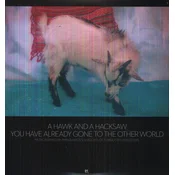 A Hawk And A Hacksaw - You Have Already Gone To The Other World (2 LP)