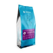 slomart LINCOLN Ultra premium Adult Large in medium Govedina z rižem - suha hrana za pse - 12kg