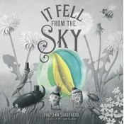It Fell From The Sky