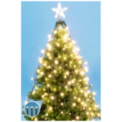 home Dekorativna LED rasvjeta - LKD 200 TREE