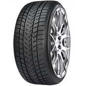 Gripmax Suregrip Pro Winter ( 285/30 R19 98V XL )