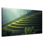 shumee Platno Narava Pokrajina Kmetijstvo 120x70