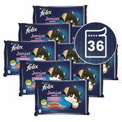 Vrečke FELIX Junior Fantastic, okusen izbor hran v želatini 36x85 g