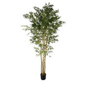 Bambus x9 210 cm - 181-210 cm