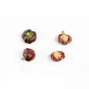 Chocolate Cherry Bomb – Sjemenke chili papricica
