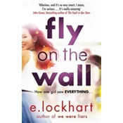 Fly on the Wall