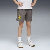 Borussia Dortmund PumaTECH Relaxed Shorts Youth, Gray, Size 5-6Y, Clothing