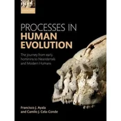 Processes in Human Evolution