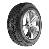 Roadstone Winguard Ice Plus ( 195/65 R15 95T )