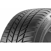 Continental WinterContact TS 870 P ( 265/30 R20 94W XL EVc )