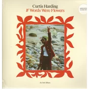 Curtis Harding - If Words Were Flowers
