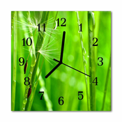 tulup.si Steklena kvadratna ura Grass 30x30 cm