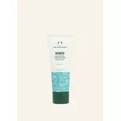 NEW Seaweed Oil-Control Overnight Mask 75 ML