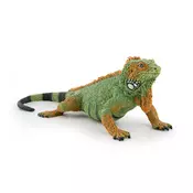 Iguana