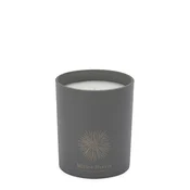 Miller Harris Infusion of The Candela
