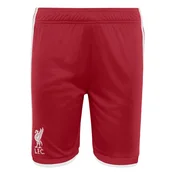 ADIDAS PERFORMANCE Sportske hlace FC Liverpool 26/27 crvena / bijela