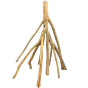 shumee Mangrove korenine M