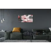 tulup.si Slika na akrilnem steklu Roza cvetovi 120x60 cm 4 obešalnika