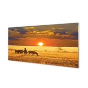 tulup.si Slika na akrilnem steklu Zebra zahodu oblaki 120x60 cm 4 obešalnika