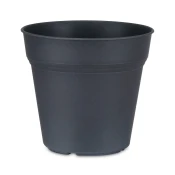 Cvetlični lonec, pvc, antracit, 17cm