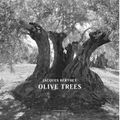 Olive Trees