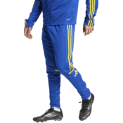 Hlače adidas SQUADRA25 TR PNT