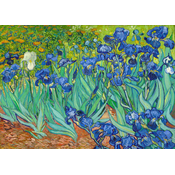 Enjoy - Puzzle Vincent Van Gogh: Irises - 1 000 kosov