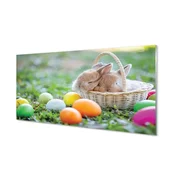 tulup.si Slika na akrilnem steklu Kunce jajca 120x60 cm 4 obešalnika