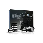 Secret Pleasure Chest Silver Moon – BDSM set