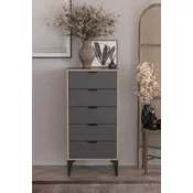 Hanah Home Komoda Arden, 50 x 105 x 40 cm, Antracit