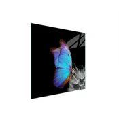 shumee STEKLENA ZAŠČITNA PLOŠČA ZA ŠTEDILNIK 50x52 BUTTERFLY