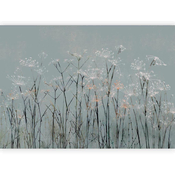 artgeist Fototapeta Garlic Flowers, 100x70cm