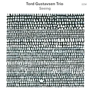 Tord Gustavsen Trio - Seeing (LP)