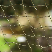 Zaštitna mreža za macke - otporna na ugrize i ojacana žicom - 2 x 3 m