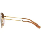 Swarovski Naocare za sunce SK 7005 400474