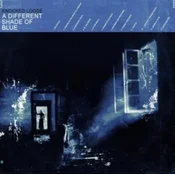 Knocked Loose - A Different Shade Of Blue (Coloured) (LP)