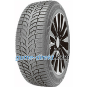 Double Star DW08 ( 225/55 R16 95H)
