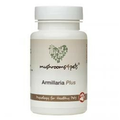 Armillaria Plus (450 mg) 60 kosov