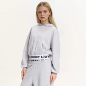 Cropp - Pulover s kapuco in potiskom - light grey