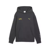 PUMA x POKEMON Relaxed Graphic Hoodie Youth, Sweatshirts, Strongray, 11-12Y