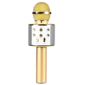 Brezžični karaoke mikrofon PLAY z zvočnikom 2v1