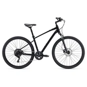 KOLO GIANT Cypress 2